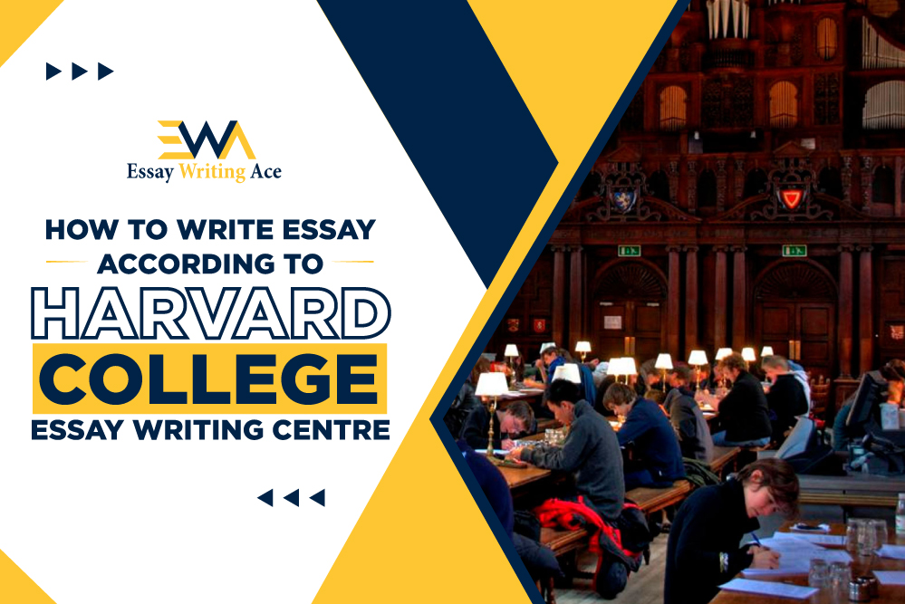 essay writing center